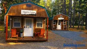 Diggins Cabin 2 - Image 2