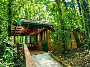 CHALET ETNA MILO - Image 3