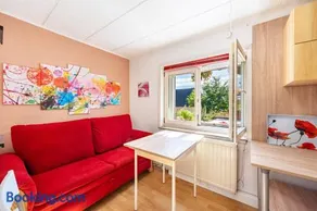 Fewo mit Terrasse Moritzburg - Image 4