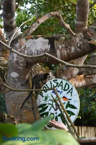 Pousada Habitat Caraíva - Image 2