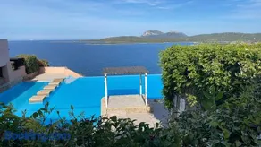 La tartaruga - Image 1