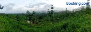 Hillocks and The Spring - Image 3