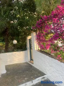 Attico con terrazzo e finestre sulla baia di Peschici - Image 2