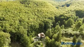 Villa Szalamandra - az Erdőszéle - Image 2