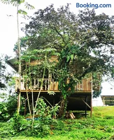 Papaya Lodge - Image 5