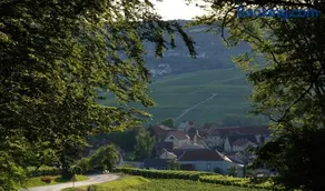 Roulotte la Dominique - Image 2