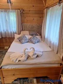 Cabana Plaiul Bucovinei - Image 1