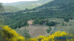 Agriturismo Fattoria Poggio Boalaio - Image 4