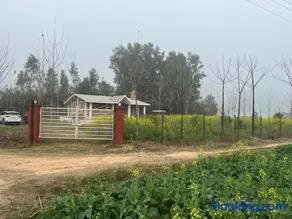 RajKamal's Farm - Image 4