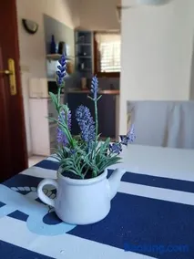 Maslina Apartment - Image 4