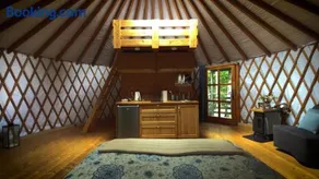 Jurty i namioty w Lesie KotfaLas Glamping Świętokrzyskie-SPA - Image 1