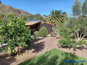 Las Palmeras - Image 2
