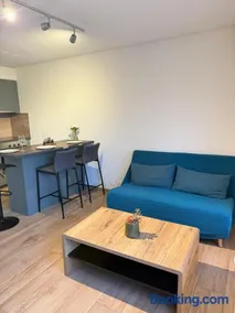 Torrent House - Image 4