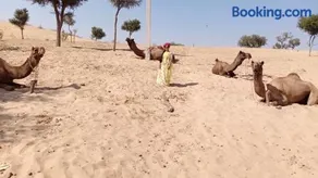 Osian Camel safari and Village home stay - Image 3
