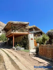 Terrazas Iguana - Image 1