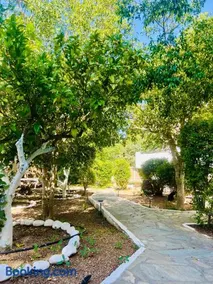 Thalassa studios - Image 2