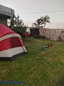 Nada y acampa con tus perritos - Image 1