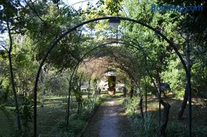 Villa Carola - Image 2