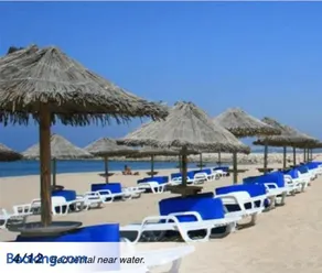 Plage João de Caparica - Image 2