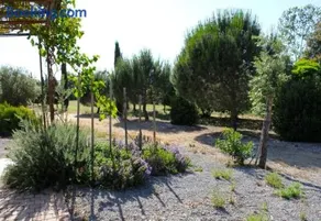 Agriturismo Il Riccio - Image 4