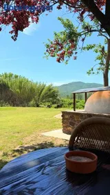 Kerkinis Nest - Image 3