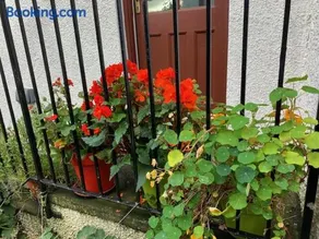 Cosy cottage flat - Image 2