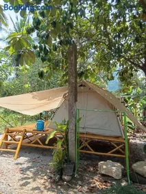 Paivana Khaosok Village - Image 5