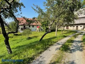 Eko kmetija Sen na Zgornji Kapli - Image 5