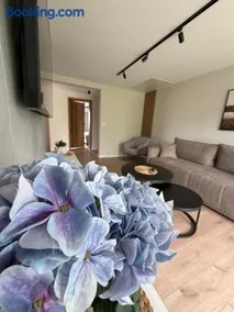 Apartamenty Sznurki - Image 2