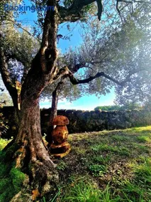 Torre del Tempo - Image 3