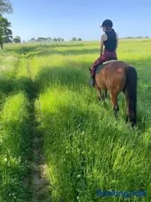 Gite des Chemins de la Paillardiere - Image 3
