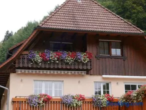 Ferienwohnung Eulennest - Image 1