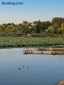 Sol 2 Lake House Snagov - 30 Mins to Bucharest - Slow Living - Image 2