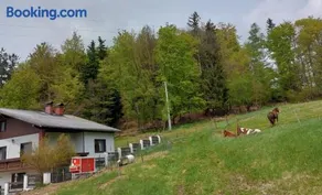 Kriegwald Apartements - Image 2