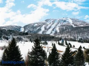 Luxurious 3 bedroom condo. 2 minutes from beautiful Mont Bromont.  CITQ#248275 - Image 2