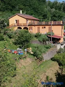 #bordigona - Image 2