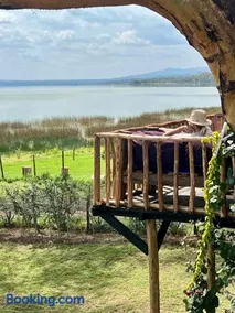 TREE HOUSE Lodge - Image 1
