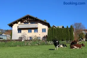 Ferienwohnung Vögel - Image 1