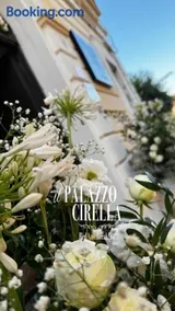 BB Il Palazzo Cirella - Image 1