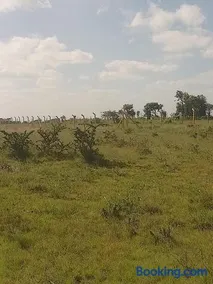 Juja Farm Doubles - Image 1