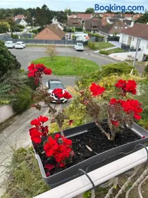 Villa grain de sel - Image 3