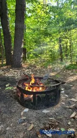 Cabin in the pines - Image 2