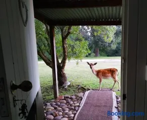 Green Hills Forest Lodge - Image 4