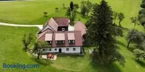 Stein im Holz - Image 2