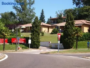 Palmiers 1 - Image 3