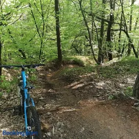 Apartma Smučišče Krvavec - Image 1