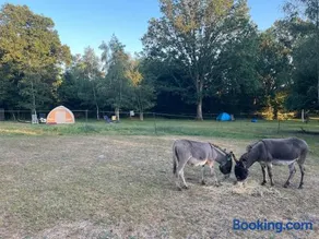Camping in the South Downs countryside - Image 2
