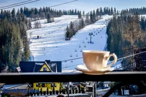 Apartamenty u Kurosa Jacuzzi & Spa Ski Suche - Image 1