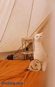 Privé Alpaca Glamping Hoogstraten - Image 5
