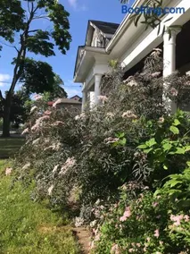 WHITE SWAN House - Image 1